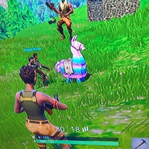 Meet your Posher, Gusty